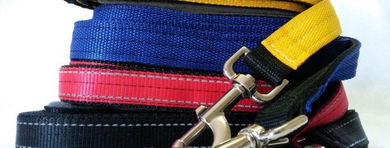 Welcome to the Robiqtac website Robiq Tac leashes