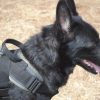 Robiq Tac Style B Harness - Image 4