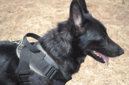 Robiq Tac Style B Harness - Image 4