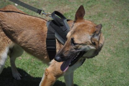 Robiq Tac Style B Harness - Image 2