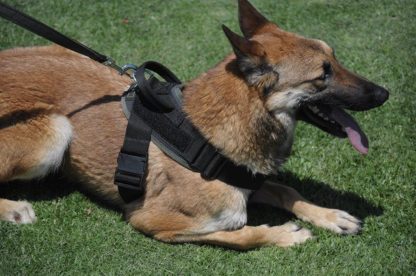 Robiq Tac Style B Harness - Image 3