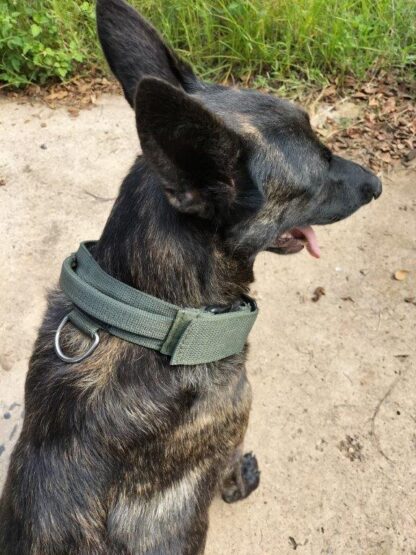 Robiq Tac Collars 50mm