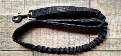 Bungee leash