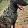 Robiq Tac Style B Harness - Image 7