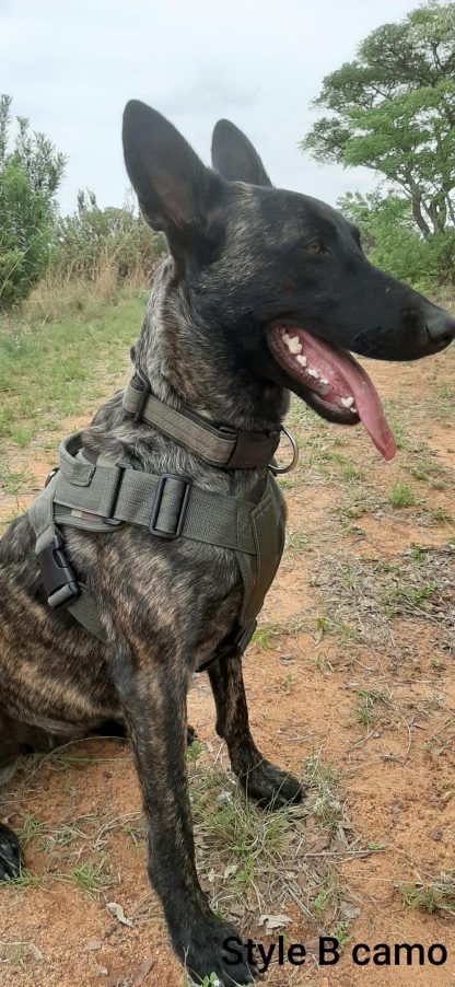 Robiq Tac Style B Harness - Image 7