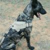 Robiq Tac Style B Harness - Image 8