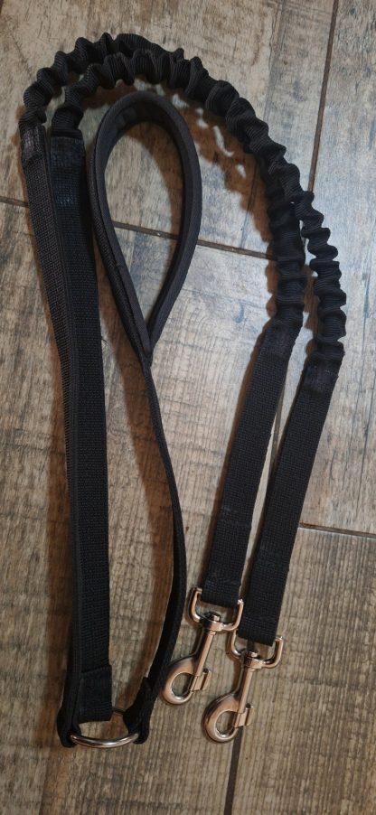 Double Leash-Bungee