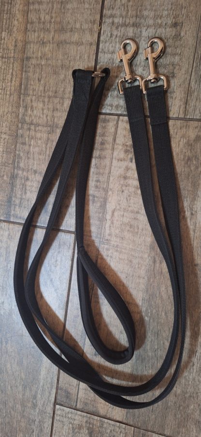 DOUBLE LEASH